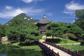 世界拳击锦标赛赛场急救响应标准化手册发布，世界拳击锦标赛游戏